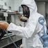 Дератизация пищевых предприятий